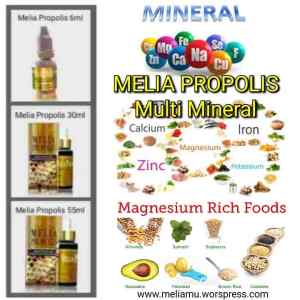 Melia Propolis Multi Mineral