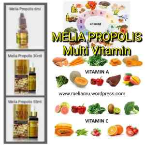 Melia Propolis Multi Vitamin