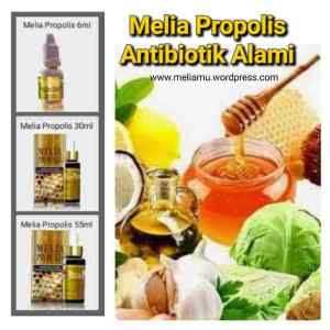 Melia Propolis Untuk Antibiotik Alami