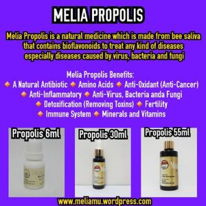melia-propolis